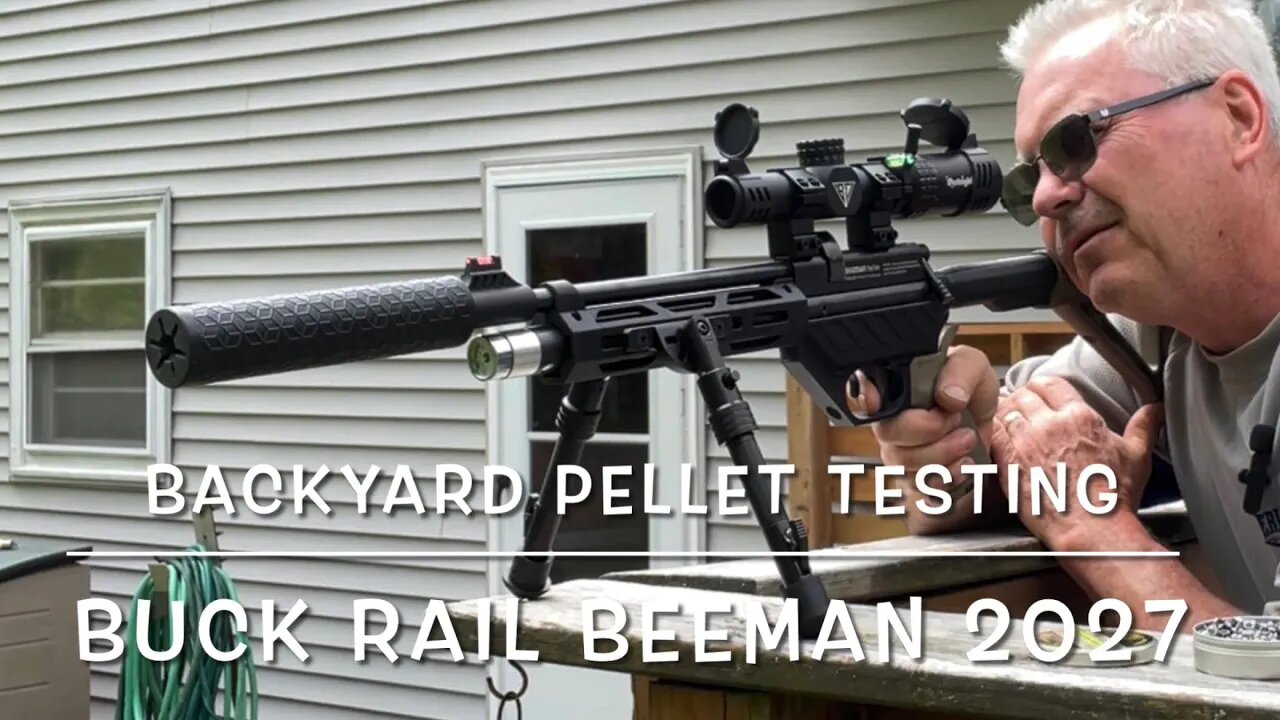 Backyard Plinking With My Buck Rail Beeman Test Air Arm Diabolo