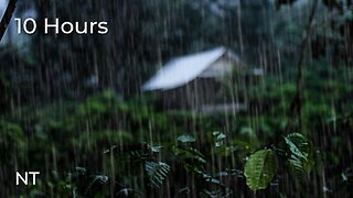 Endless Tropical Rainfall: Calming Rain Sounds for Sleep, Stress Relief & Relaxation - White Noise
