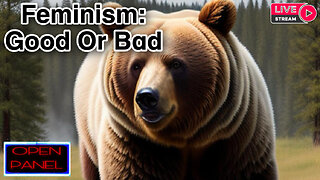Is Feminism Bad For Society?