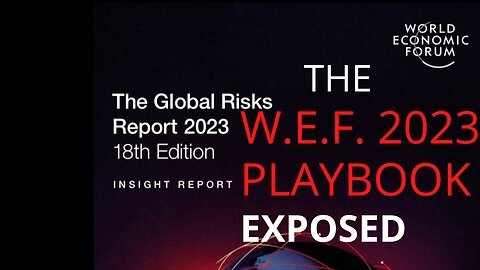 W.E.F. 2023 PLAYBOOK EXPOSED