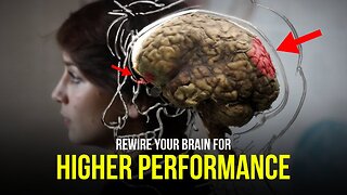 Neuroscientist Shares How to REALLY Hack Your Brain!