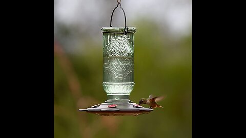 More Birds Amethyst Jewel Hummingbird Feeder, Glass Hummingbird Feeders for Outdoors, 5 Feeding...