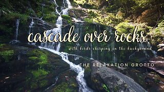 4K Cascade Over Rocks | Nature Sounds, Birds Chirping, Relax