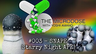 SNAPE Project - The Microdose w Yoshi Amano ep 003