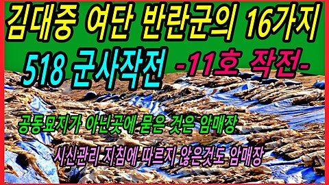 김대중 여단 반란군의 16가지 518 군사작전 -11호 작전-