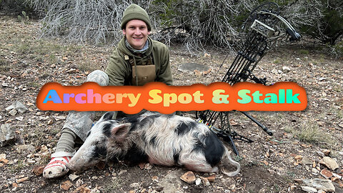 Archery Spot & Stalk Hog In The Dark Under The Lights /Archery Rabbit/Wild Hog Pork Chops/Texas Pig