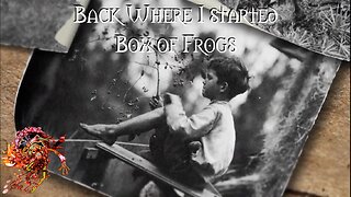 Back Where I Started Box of Frogs