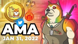 ShibaDoge Official Token Twitter AMA Shiba Inu Dogecoin Is ShibaDoge Ethereum NFT Burn Cryptocurrency Andrew Tate Elon Musk