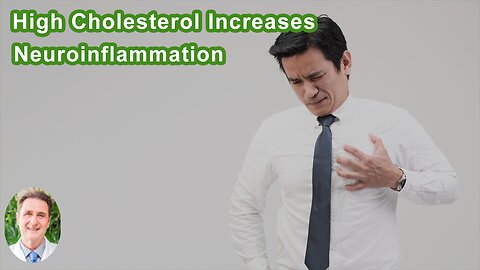 High Cholesterol Is One Of The Factors That Increases Neuroinflammation