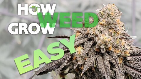 HOW TO GROW WEED 2023 UPDATE – Seed to Harvest – Complete Beginner’s Guide for New Growers