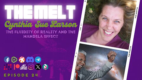The Melt Episode 24- Cynthia Sue Larson | The Fluidity of Reality and the Mandela Effect