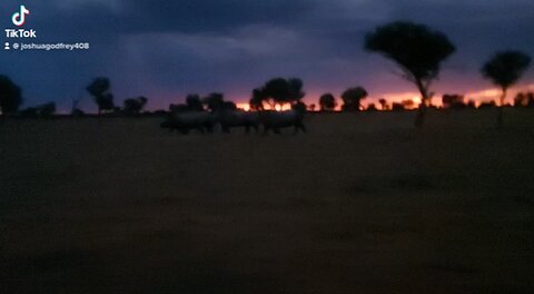 African sky