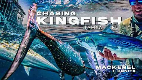 Fishing for Kingfish in Tampa FL Catching Mackerel and Bonita with Hog Squad Fishing