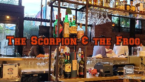 The Scorpion & the Frog