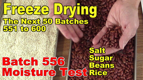 Freeze Drying - The Next 50 Batches - Batch 556 - Moisture test - Salt, Sugar, Beans, Rice