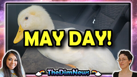 TheDimNews LIVE: Happy May Day! | New Disabled Duck!