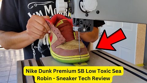 Nike Dunk Premium SB Low Toxic Sea Robin - Sneaker Tech Review