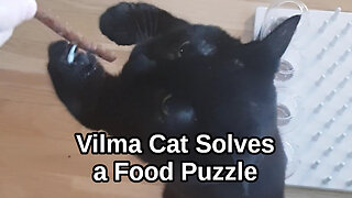 Vilma Cat Solves a Food Puzzle