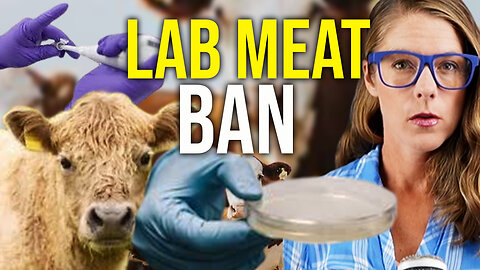 Florida bans lab grown meat || Texas Slim