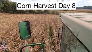 2021 Corn Harvest Day 8