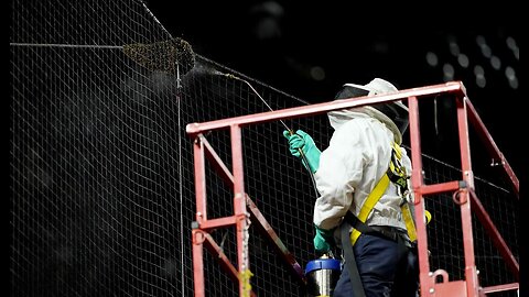 The Story of the Hero Beekeeper From the Dodgers-Diamondbacks Game Just Keeps Getting Better