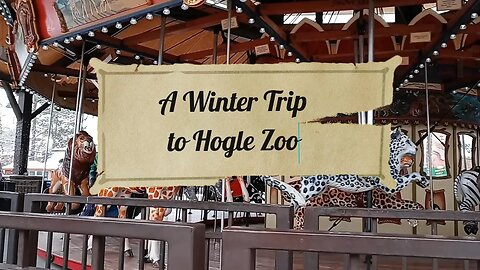 A Winter Trip to Hogle Zoo