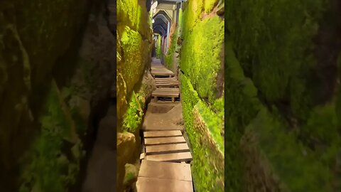 Crazy Stairs! Secret Passageway in Jerusalem | 🎧Majestic Over Ride by Pamela Storch