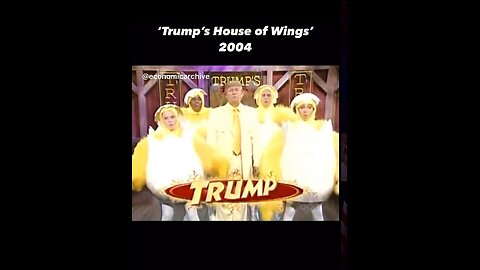 house of wings