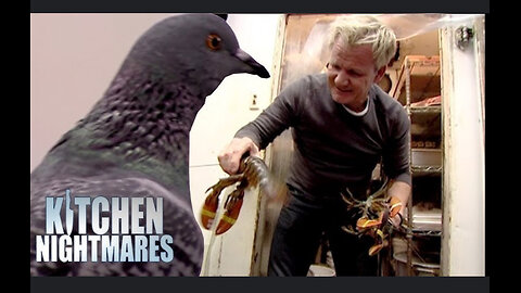 The Infamous Pigeon!? Gordon Ramsey finds pigeon in the kitchen | Kitchen Nightmares