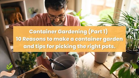 Container Gardening Pt 1: 10 Reasons to make a container garden and tips for picking the right pots
