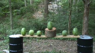 Desert Eagle vs Watermelons