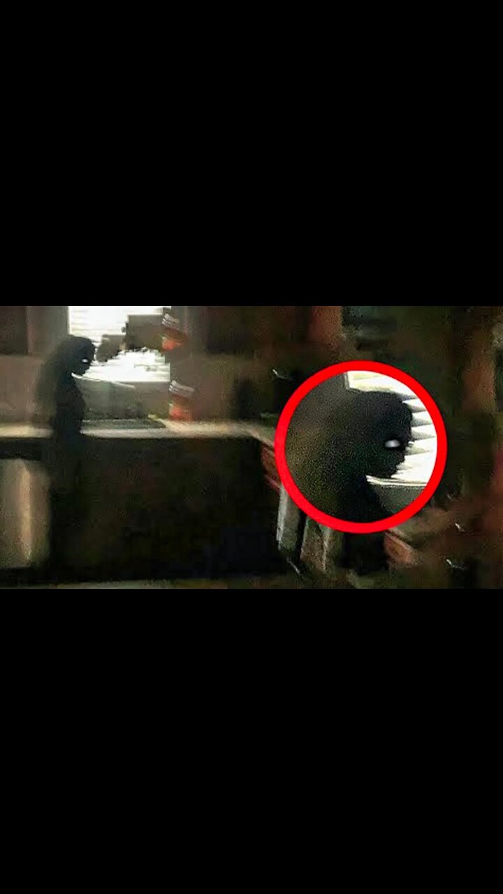 They Hid This Creepy Haunted Cabin Trailer For 5 Monthsand Now You Can See Why - u5i7lgp
