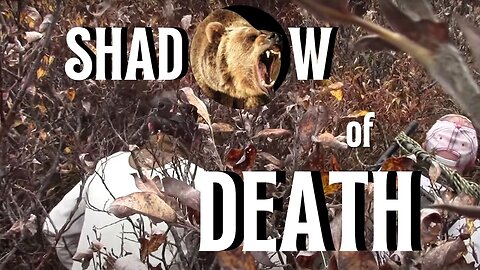 GRIZZLY CHARGE | SHADOW OF DEATH | Alaska grizzly bear moose hunting, Modern Day Mountain Man