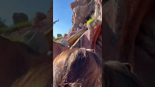 Take A Ride On Splash Mountain At Disneyland #shorts