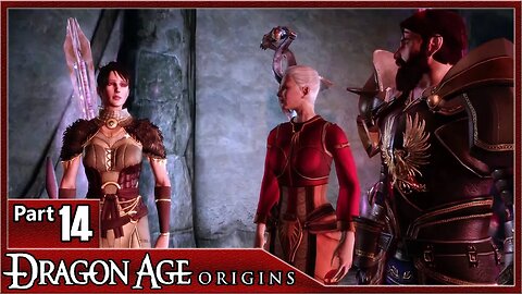 Dragon Age Origins, Part 14 / Denerim, Brother Genitivi, Weylan