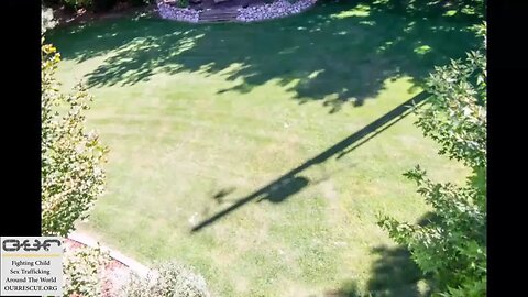 Backyard Shadows Timelapse. Support OURRESCUE.ORG by making a purchase: PocketFullOfSawdust.Etsy