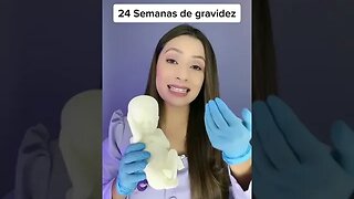 24 Semanas de gravidez, olha essa maquete do tamanho real