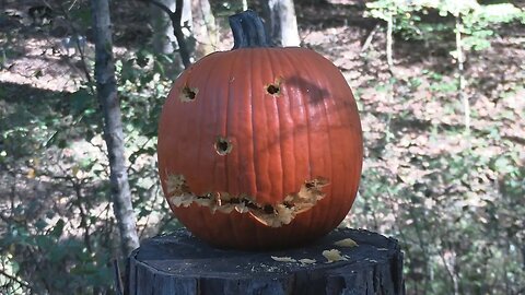 Pumpkin Carving with a Dirty Harry 44 Magnum