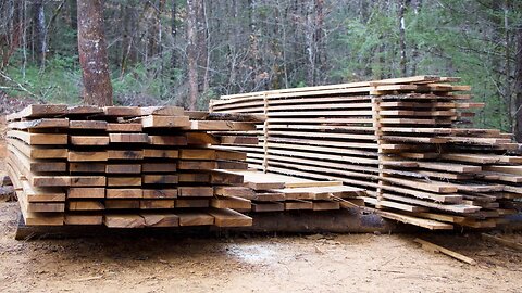 S2 EP24 | WOODWORK | TIMBER FRAME BASICS | MILLING ROOFING LUMBER FOR THE CABIN