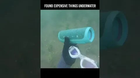 I found an expensive speaker in the lagoon while treasure hunting