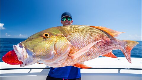 FATAL Truth about Deep Sea Fishing...Catch Clean Cook (Snapper)