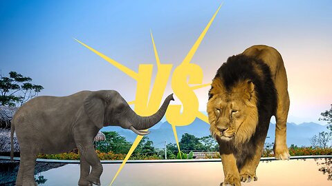 Can a Single Lion Defeat an Elephant? Unveiling the Battle of Giants!
