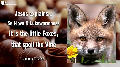 Jan 27, 2016 ❤️ Jesus explains Self-Love and Lukewarmness... It is the little Foxes that spoil the Vine