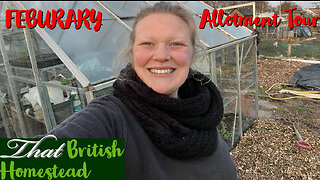 February Allotment Tour: Overcoming the Challenges of a Difficult Gardening Year