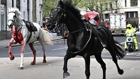 SIGNS & MESSAGES ARE BEING SENT! THE SYMBOLISM BEHIND THE BLOODY HORSES RUNNING FREE IN LONDON!