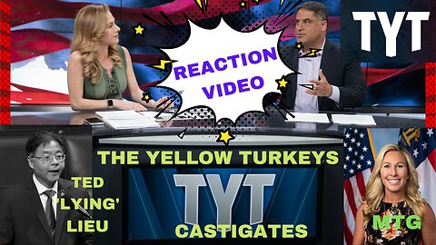 REACTION VIDEO TYT Investigates MTG-Ted "Lying" Lieu Makes Baseless Argument Gas Prices MadeA Profit