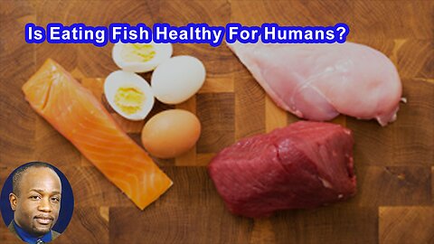 Is Eating Fish Healthy For Humans?