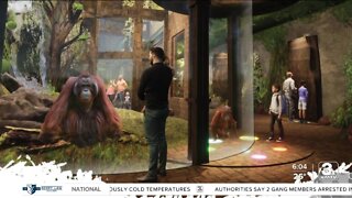 Renovation to Hubbard Orangutan Forest at Omaha's zoo re-imagines experience