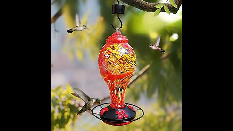 Cesun Hummingbird Feeders for Outdoors Hanging Heavy Duty Glass Sparkles in The Sun, 36 Ounce N...