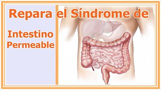 SUPERAR EL EXCESO DE PERMEABILIDAD INTESTINAL